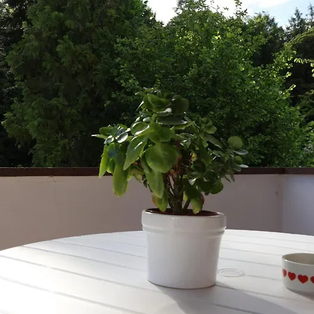 Apartment Trautes Heim *